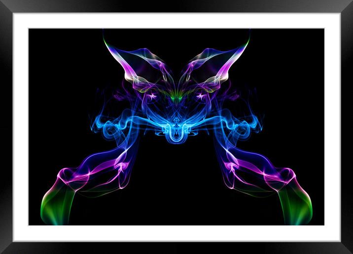 The Cat's Whiskers Framed Mounted Print by Steve Purnell
