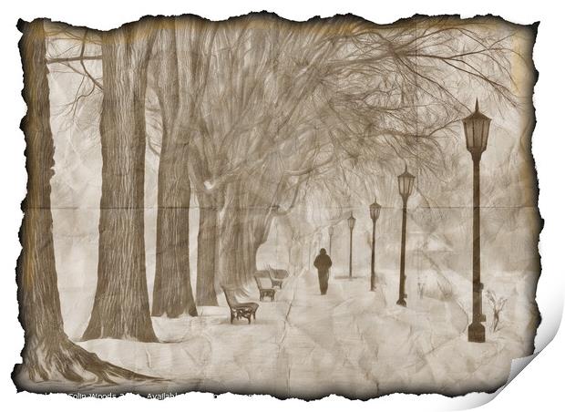 A walk in the park Print by Colin Woods