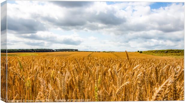 Cornfield Canvas Print by Kevin Clayton