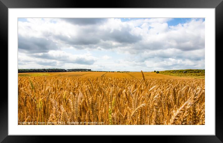Cornfield Framed Mounted Print by Kevin Clayton