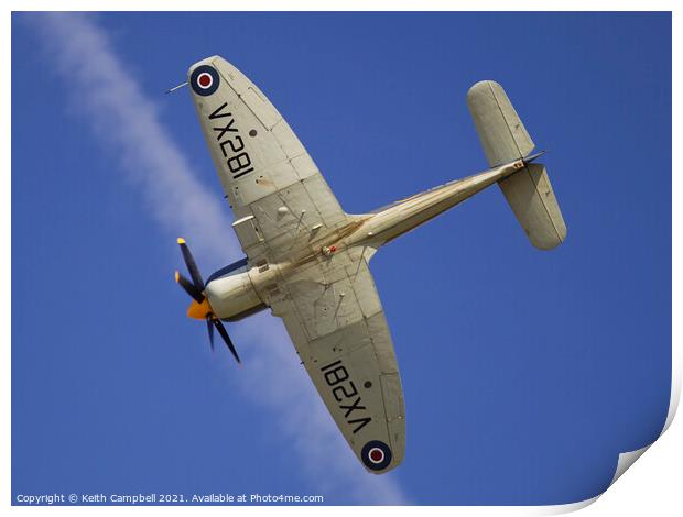 Hawker Sea Fury Print by Keith Campbell