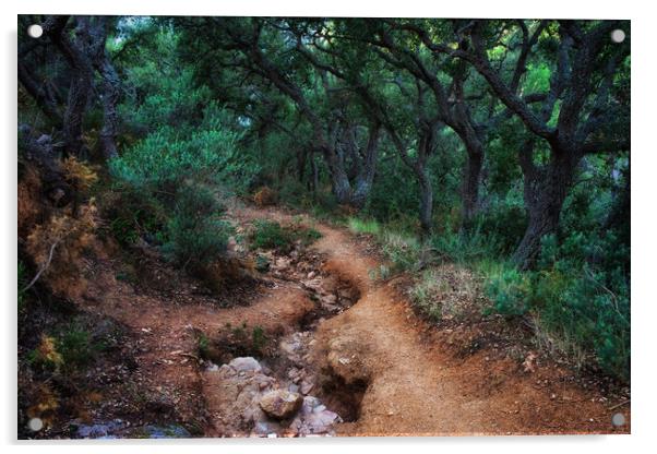 Path in Spooky Forest Acrylic by Artur Bogacki