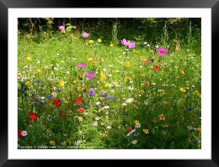 Summer Wildflower Meadow Framed Mounted Print by Nathalie Hales