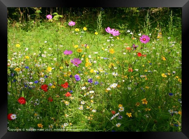 Summer Wildflower Meadow Framed Print by Nathalie Hales