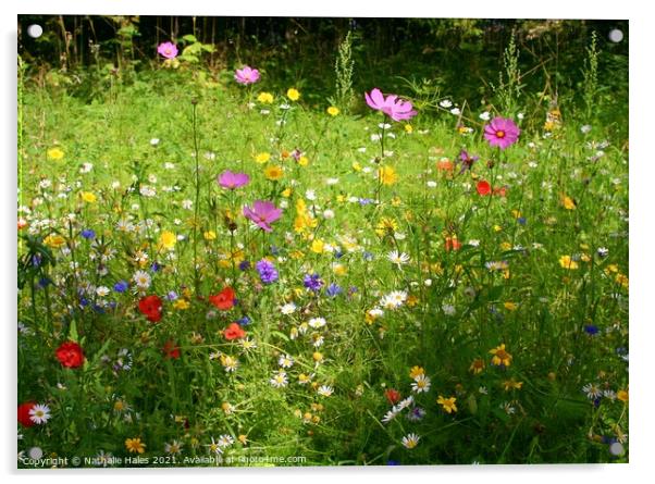 Summer Wildflower Meadow Acrylic by Nathalie Hales