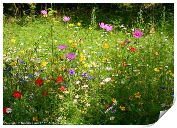 Summer Wildflower Meadow Print by Nathalie Hales