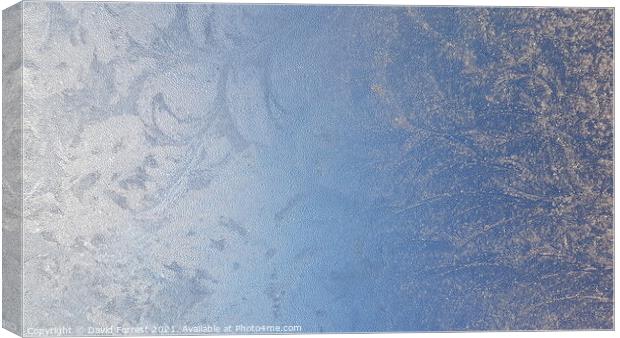Frosty Ice Canvas Print by David Forrest