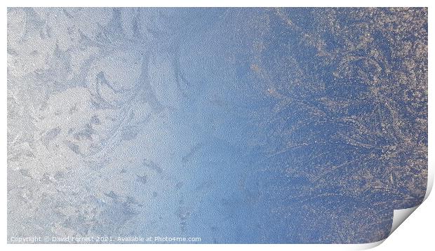 Frosty Ice Print by David Forrest