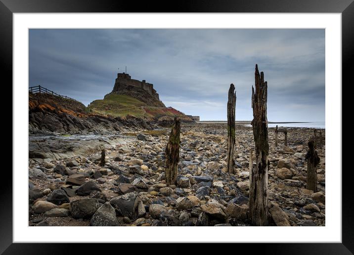 Lindisfarne Castle, holy island Framed Mounted Print by chris smith