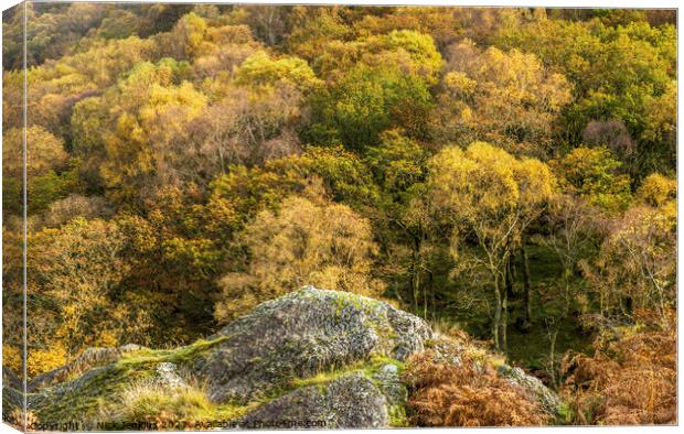 Dinas Woods in Autumn Upper Tywi Valley  Canvas Print by Nick Jenkins