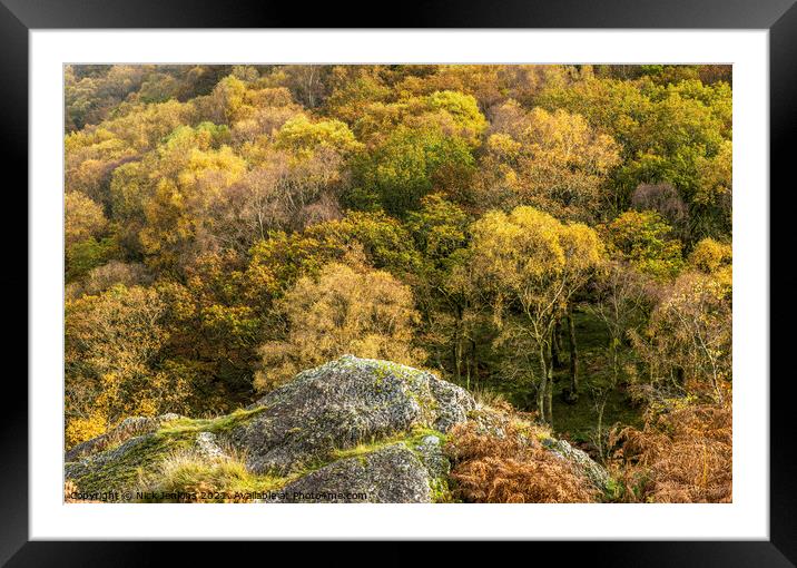 Dinas Woods in Autumn Upper Tywi Valley  Framed Mounted Print by Nick Jenkins