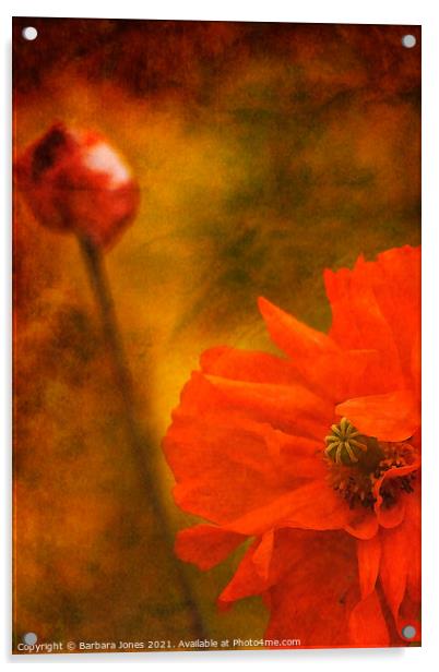 Vibrant Spanish Poppy Art Acrylic by Barbara Jones