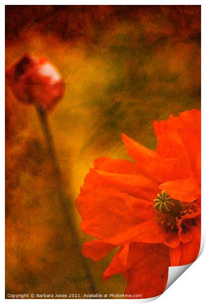 Vibrant Spanish Poppy Art Print by Barbara Jones