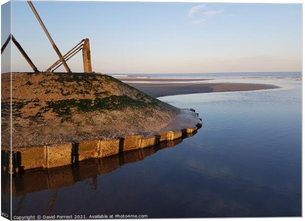 Mablethorpe beach Canvas Print by David Forrest
