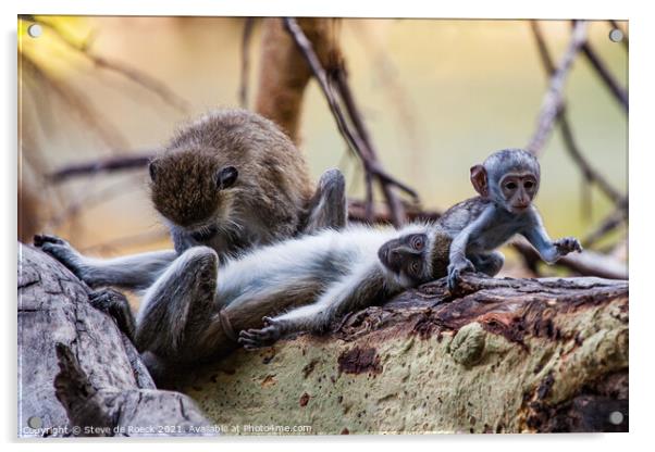 Grooming monkey parents watch their baby go off to play. Acrylic by Steve de Roeck