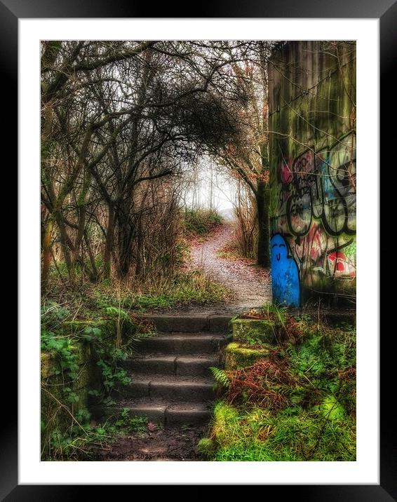 Natural beauty of a path in the woods with  bright grafitti Framed Mounted Print by Sarah Paddison