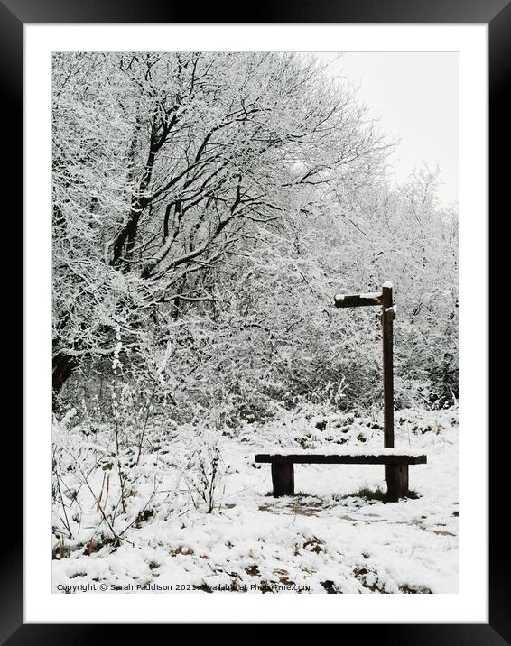 What direction is winter? Framed Mounted Print by Sarah Paddison