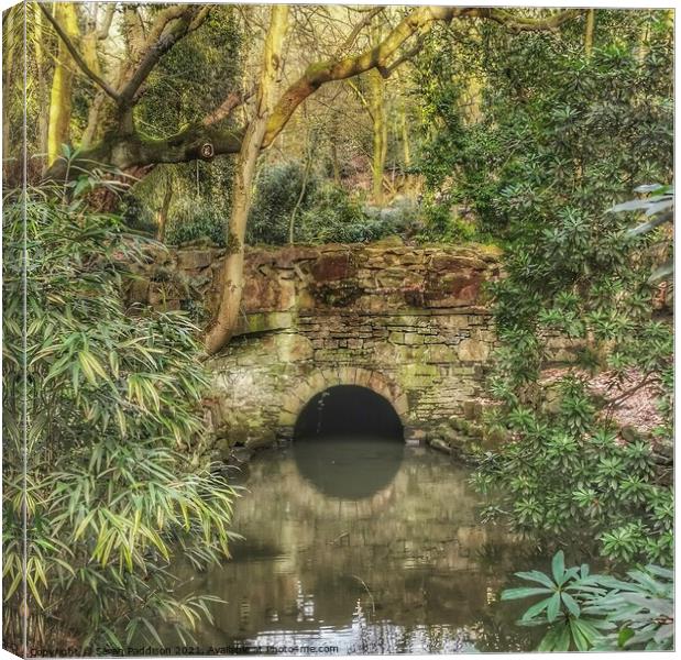 Reflection of a bridge in a calm stream Cheethams Park Stalybridge Canvas Print by Sarah Paddison