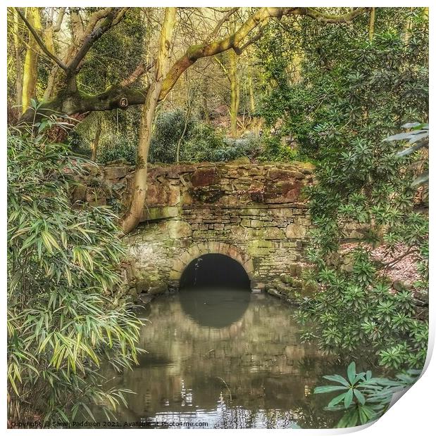 Reflection of a bridge in a calm stream Cheethams Park Stalybridge Print by Sarah Paddison