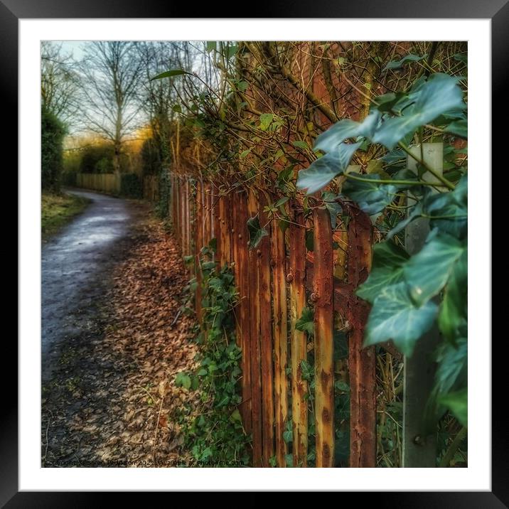 Where does this path go? Framed Mounted Print by Sarah Paddison