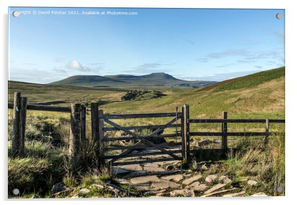 Ingleborough Mountain, Yorkshire Dales, UK Acrylic by David Forster