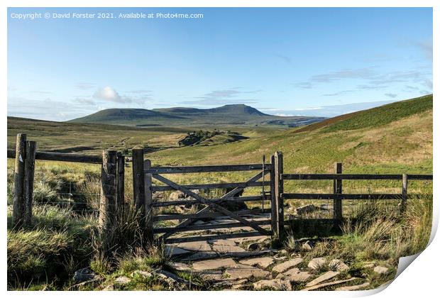 Ingleborough Mountain, Yorkshire Dales, UK Print by David Forster