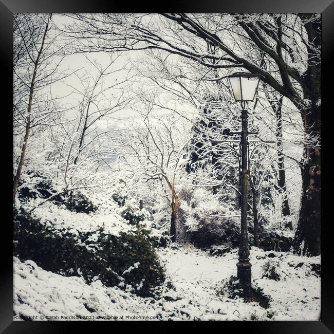 Winter wonderland to Narnia Framed Print by Sarah Paddison