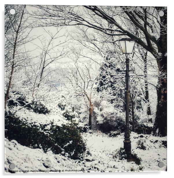 Winter wonderland to Narnia Acrylic by Sarah Paddison