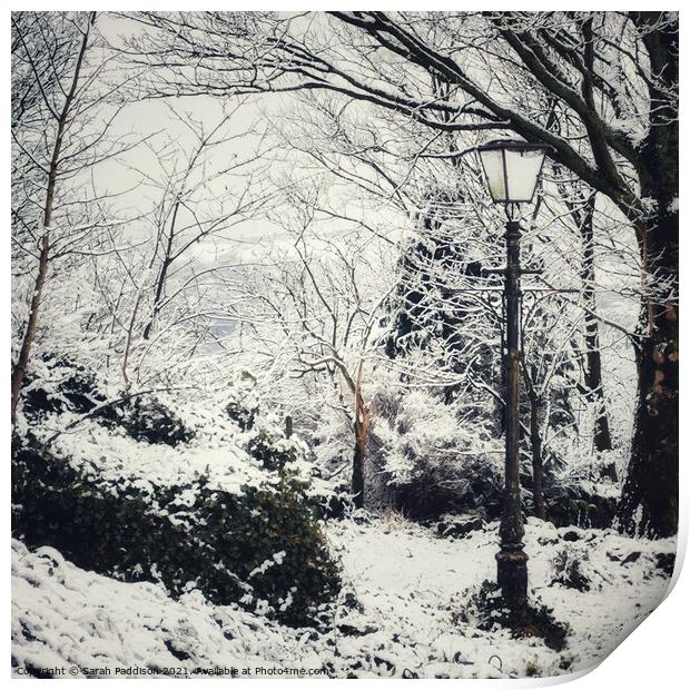 Winter wonderland to Narnia Print by Sarah Paddison