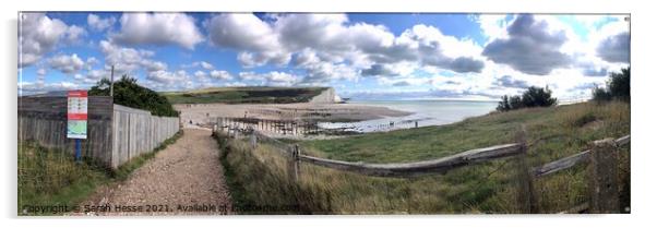 Cuckmere Haven  Acrylic by Sarah Hesse