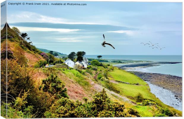 Landscape of the outskirts of Llwyngwril Canvas Print by Frank Irwin