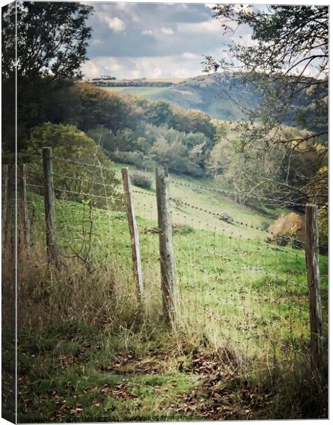 Friston Forest towards The Chalk Horse Canvas Print by Sarah Hesse