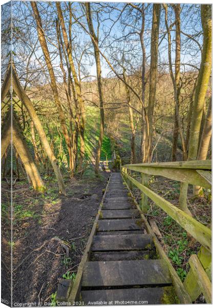 Wooden Steps on Four Borders Abbeys Way Long Distance Footpath Canvas Print by Dave Collins