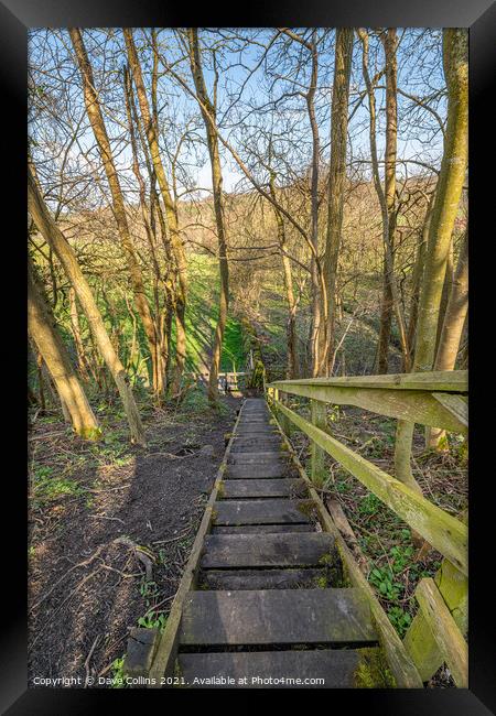 Wooden Steps on Four Borders Abbeys Way Long Distance Footpath Framed Print by Dave Collins