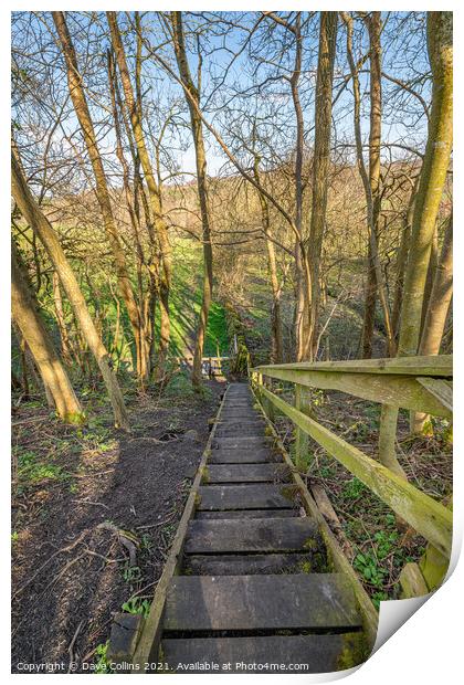 Wooden Steps on Four Borders Abbeys Way Long Distance Footpath Print by Dave Collins
