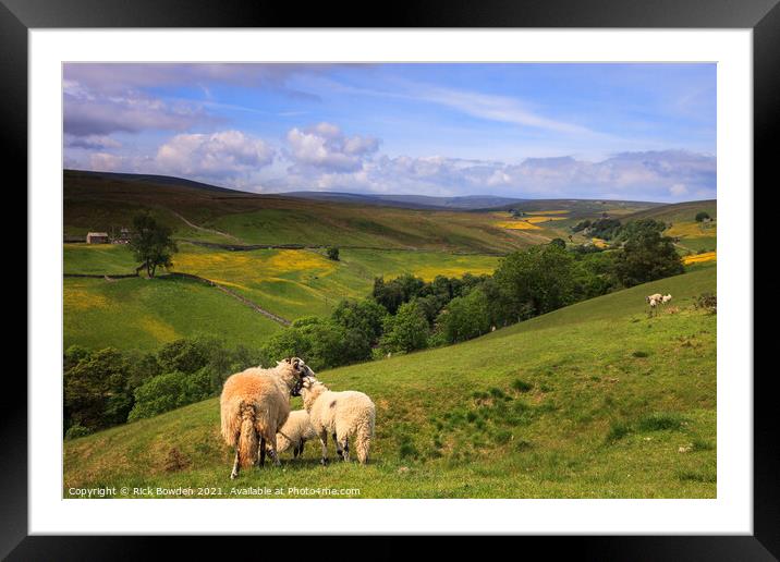 Swaledale Yorkshire Dales Framed Mounted Print by Rick Bowden