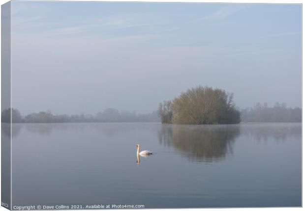 A Lone Swan on a still lake Canvas Print by Dave Collins