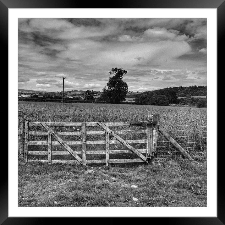 Gate into a wheat field Framed Mounted Print by Sarah Paddison