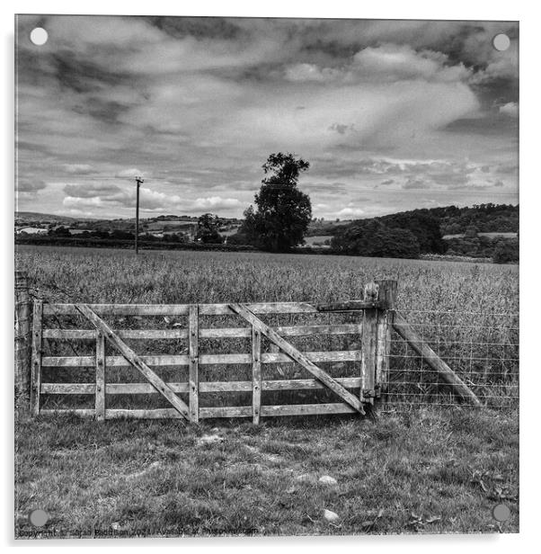 Gate into a wheat field Acrylic by Sarah Paddison