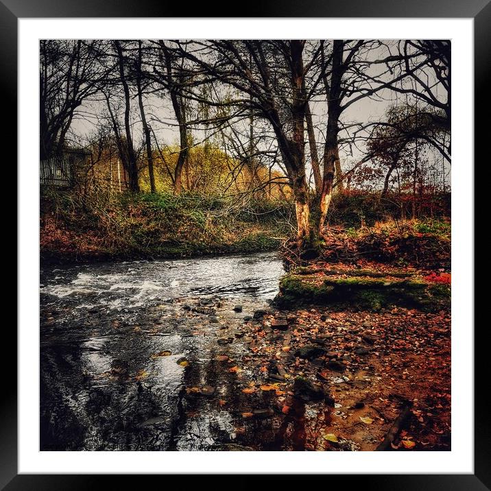 Autumn River with reflecting shadows Framed Mounted Print by Sarah Paddison