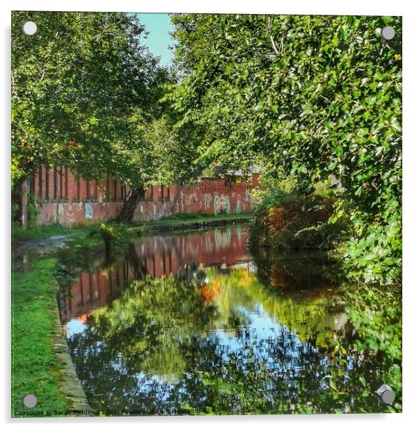 Huddersfield Canal Reflections Acrylic by Sarah Paddison
