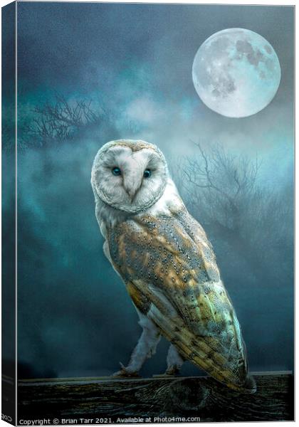 Barn Owl Moon Canvas Print by Brian Tarr