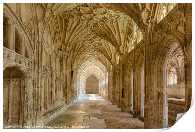 Gloucester Cathedral Cloisters Print by Amanda Elwell