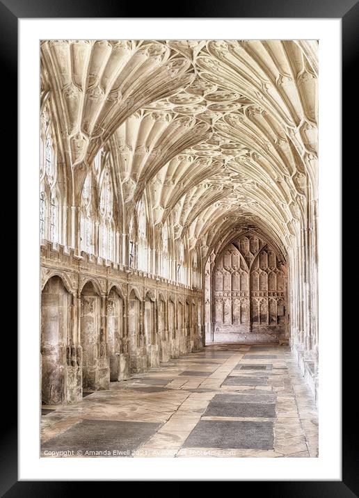 Gloucester Cathedral Cloisters Framed Mounted Print by Amanda Elwell