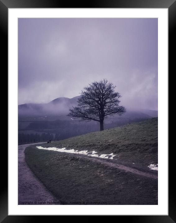 Misty solitary tree Framed Mounted Print by Sarah Paddison