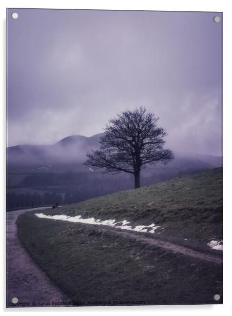 Misty solitary tree Acrylic by Sarah Paddison