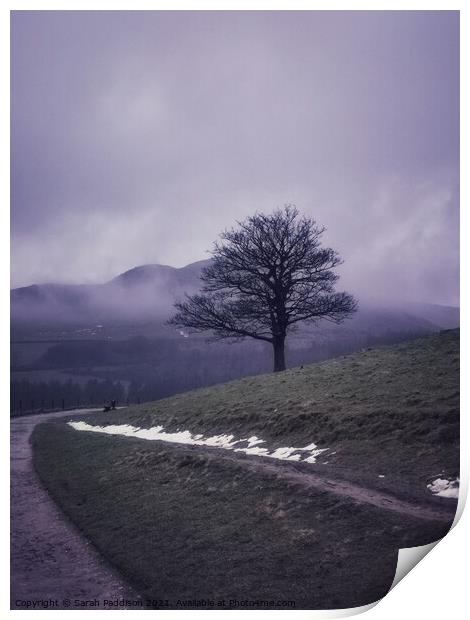 Misty solitary tree Print by Sarah Paddison