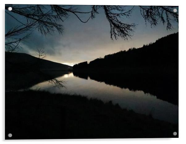 Nightime at Dovestones Acrylic by Sarah Paddison