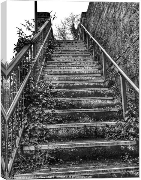 Black and White view up railway steps Canvas Print by Sarah Paddison