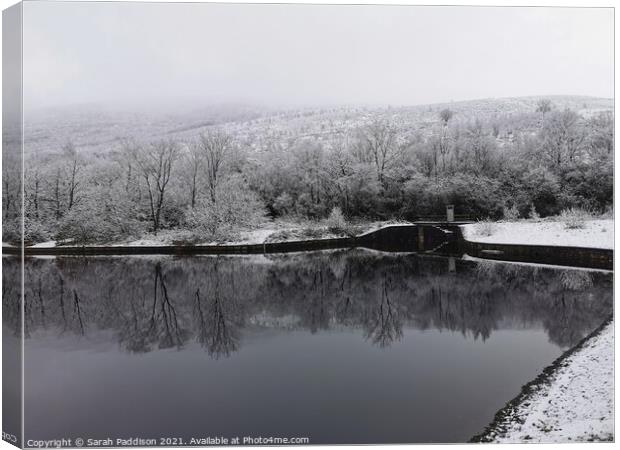 Reflecting Winter at Walkerwood Canvas Print by Sarah Paddison